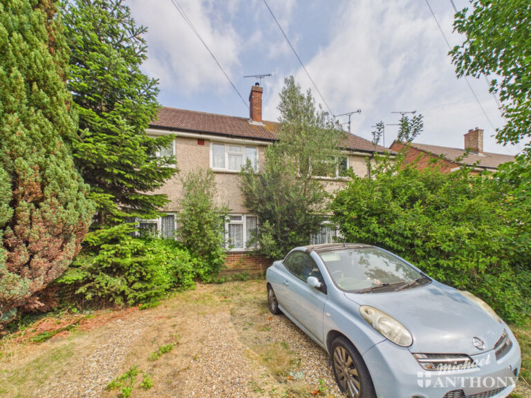 Whaddon Chase, Aylesbury Image