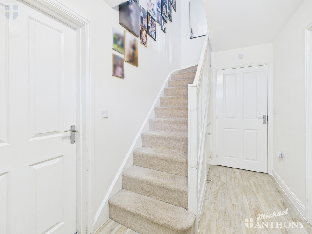 CAM03852G0-PR0446-ST