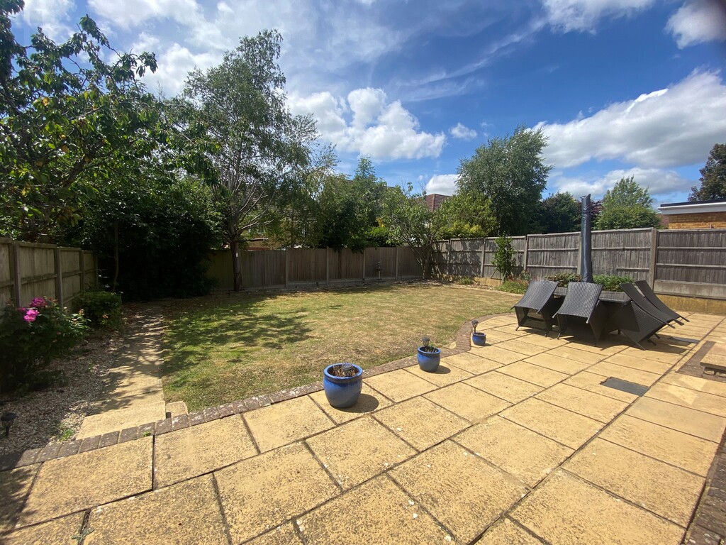 rear garden 2