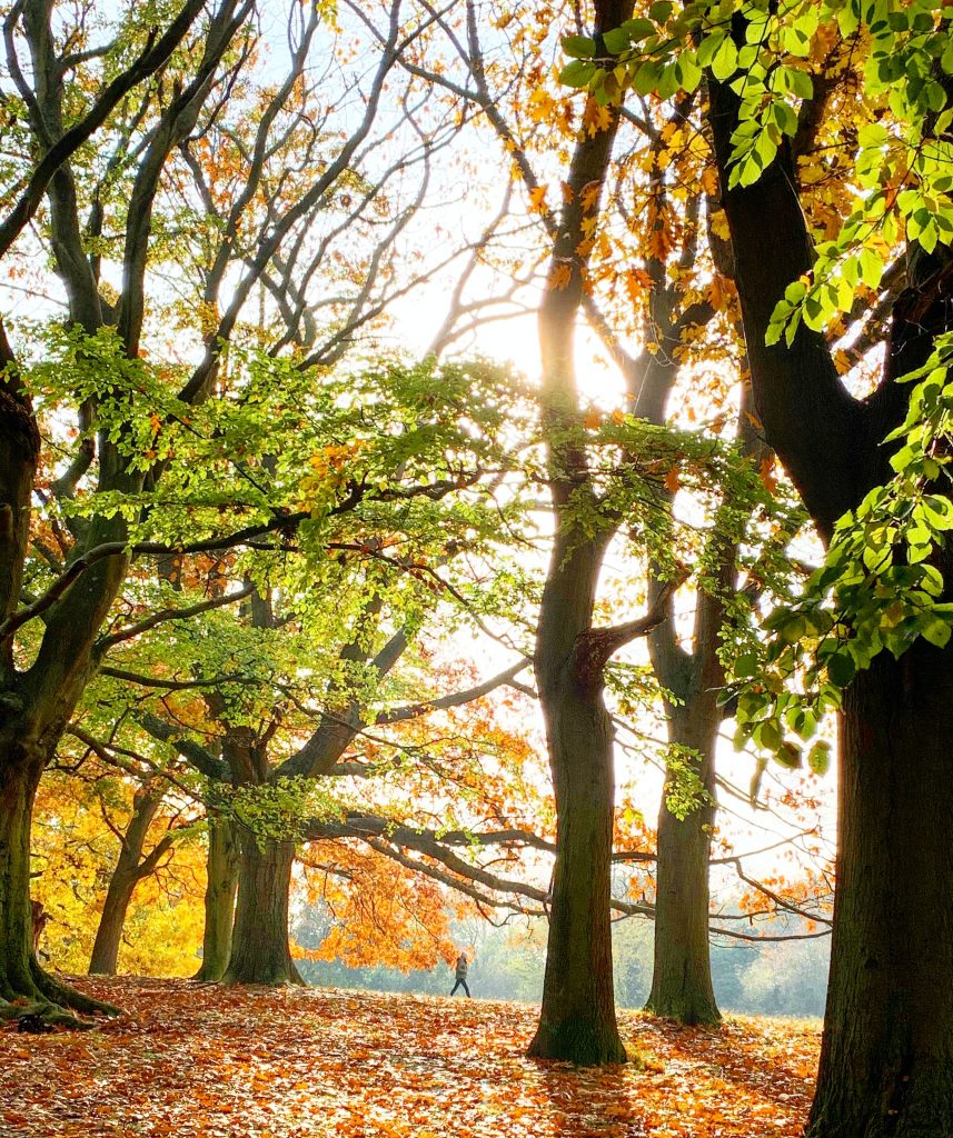 The best walks in Buckinghamshire