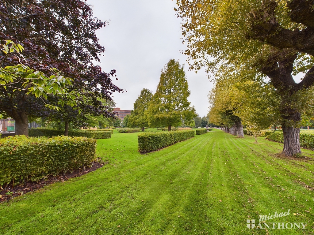 CAM02789G0-PR0012-ST